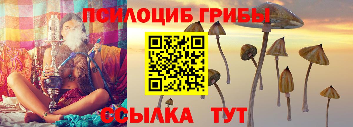 Псилоцибиновые грибы прущие грибы Советская Гавань